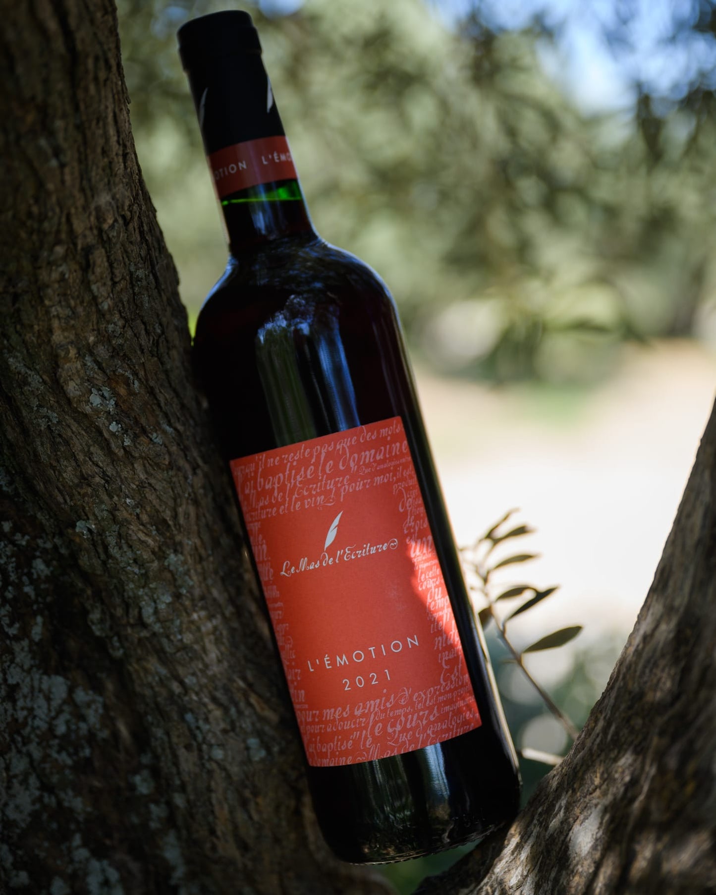 Bouteille de 'Émotion rouge 2021' du Mas de l'Écriture, élégamment placée dans un arbre sous la lumière dorée du soleil. Ce cadre naturel met en valeur le caractère vibrant et riche de ce vin rouge, produit dans les vignobles biodynamiques des Terrasses du Larzac.