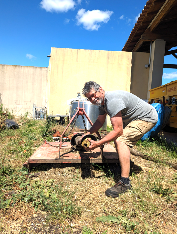 L’herbe, l’une des meilleures amies du vigneron Bio !