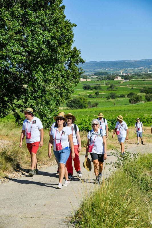 Circulade vigneronne en Terrasses du Larzac : l’Ecriture pour mise en bouche