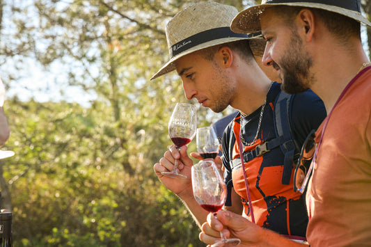 Circulade 2024 : il reste encore quelques places pour déguster les vins des Terrasses du Larzac