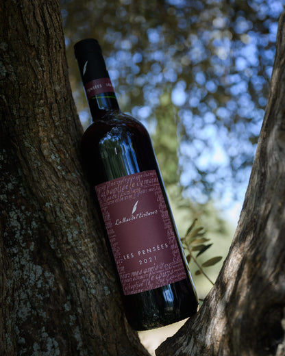 Bouteille de la cuvée rouge 'Les Pensées 2021' du Mas de l'Ecriture, élégamment posée sur un arbre du domaine. Ce vin de Languedoc, issu des Terrasses du Larzac, incarne la richesse et la complexité du terroir de Jonquières