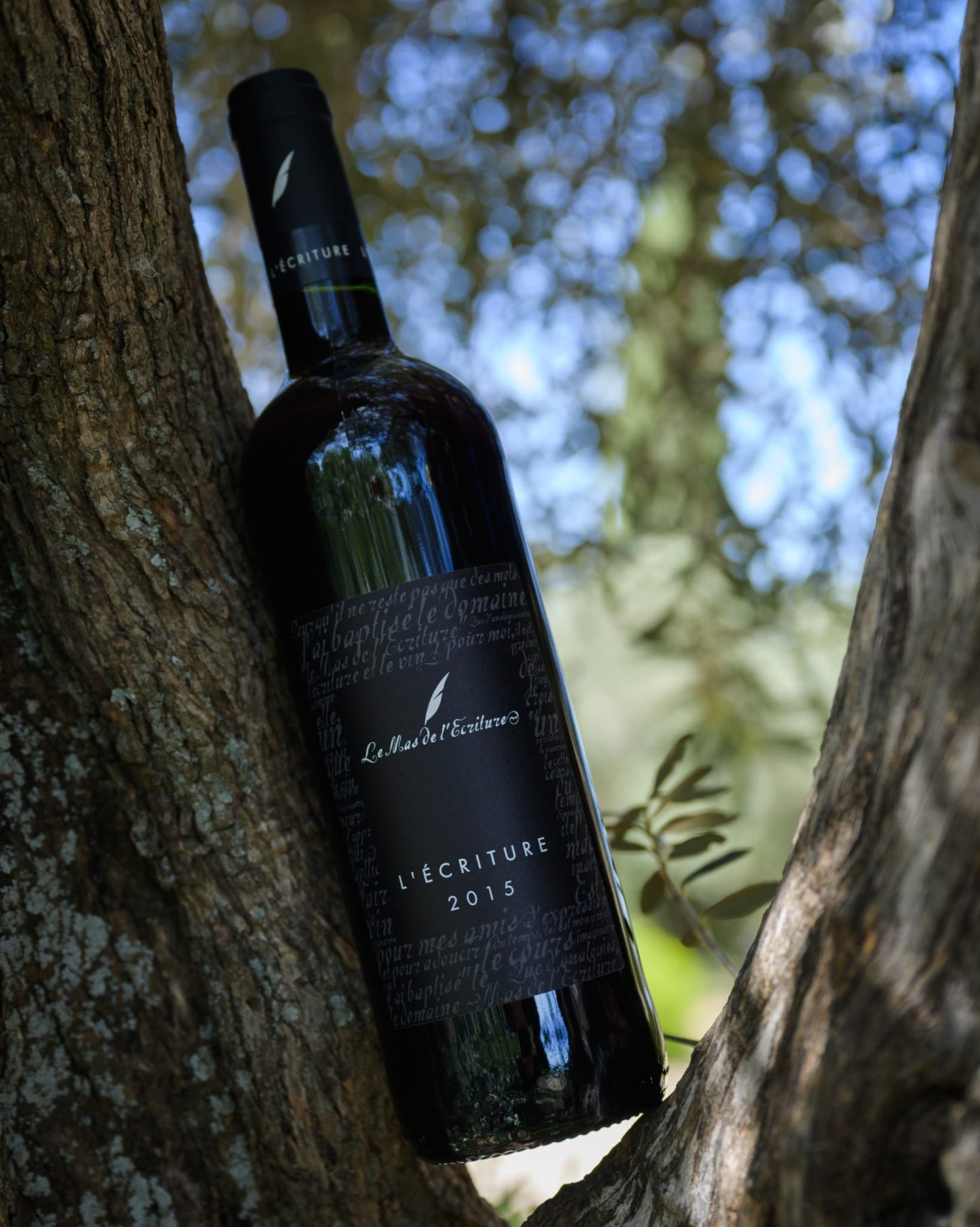 Bouteille de 'Écriture rouge 2015' du Mas de l'Écriture, posée dans un arbre avec le soleil filtrant à travers les feuilles. L'image évoque l'élégance et la complexité de ce vin, un reflet du terroir unique des Terrasses du Larzac où il a été cultivé.